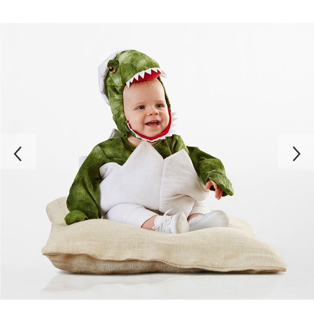 Pottery Barn Kids Green and White Baby Dinosaur Costume - 6-12 Months